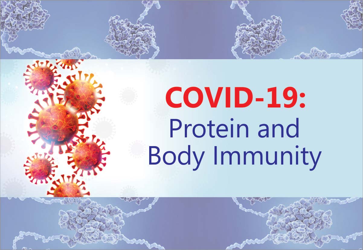 Protein and Body Immunity