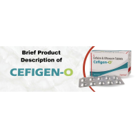 Brief Product Information on CEFIGEN-O